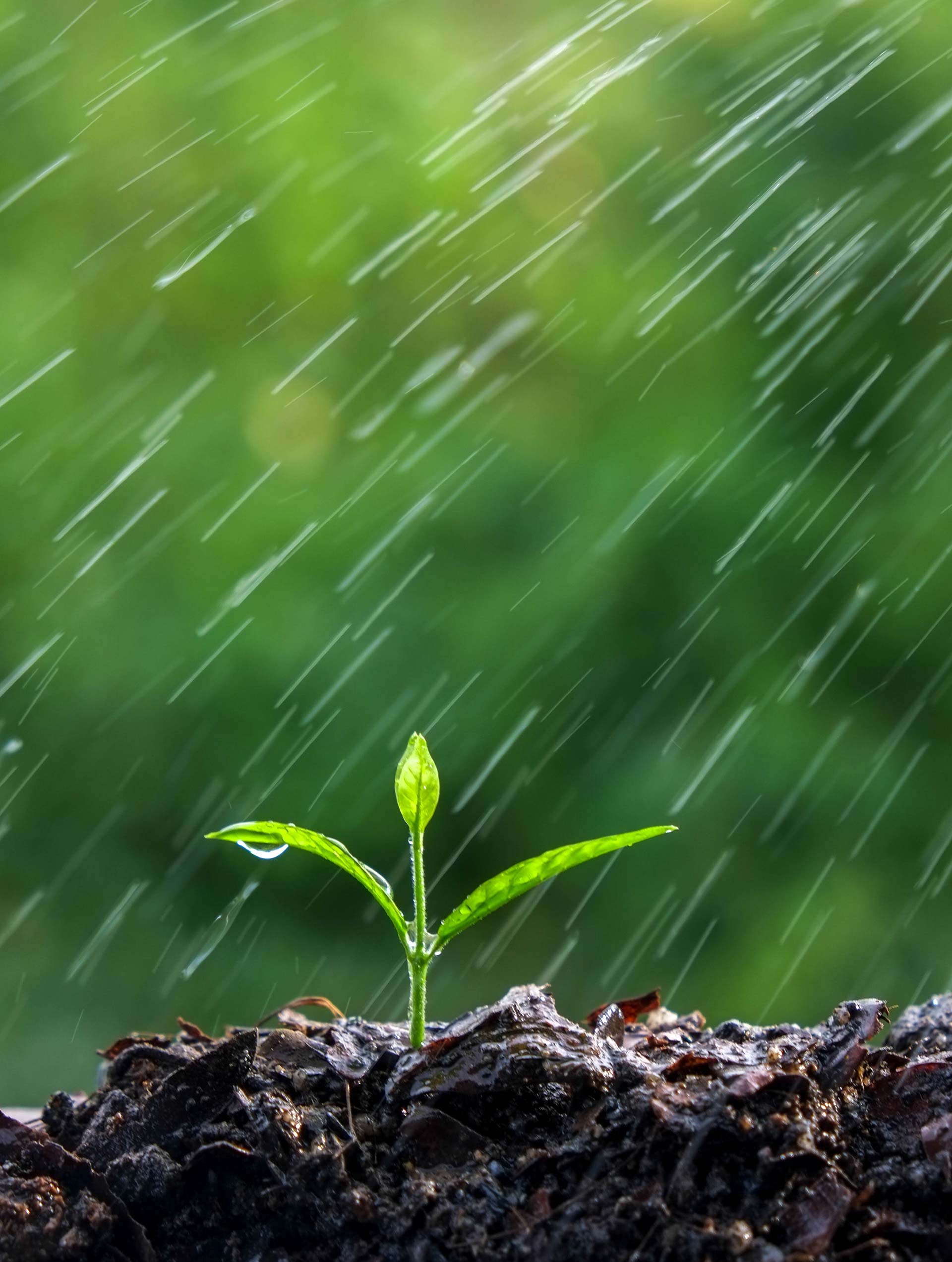 Uso eficiente del agua en el sector agrario