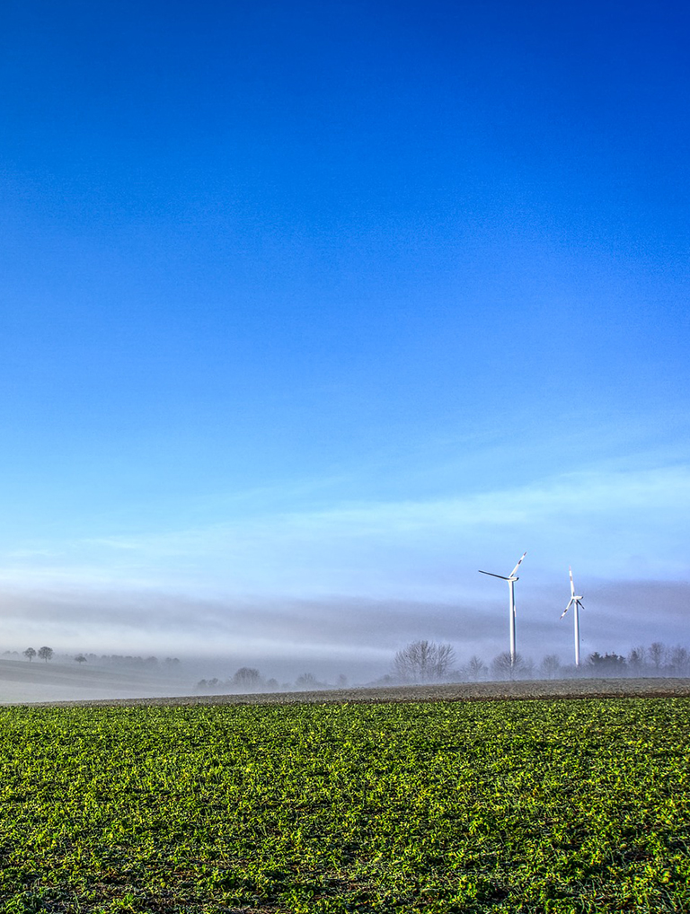 Sistema De Gestión Medioambiental: ISO 14001