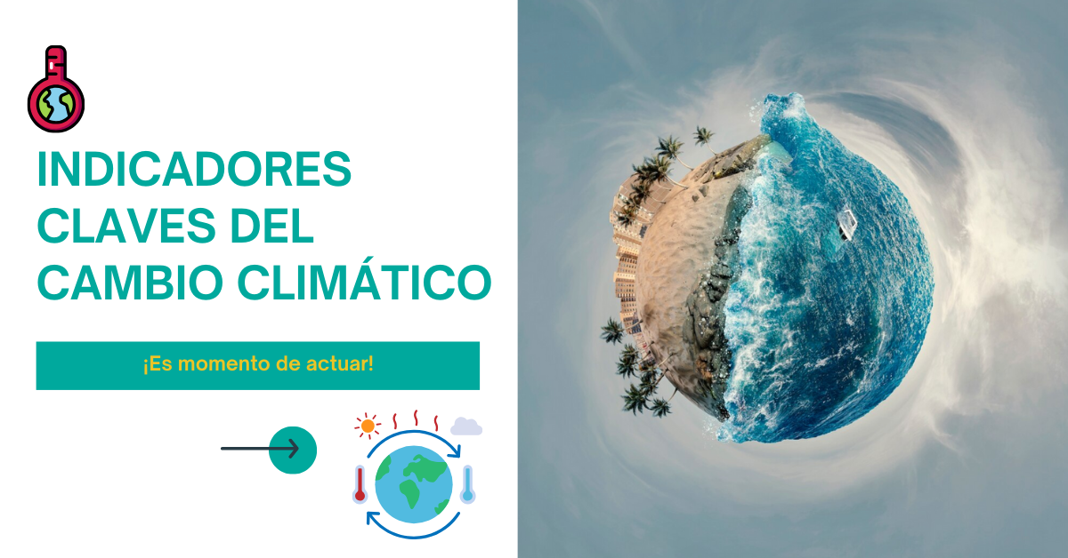 Cambio Climático: ¿Verdadero o Falso?